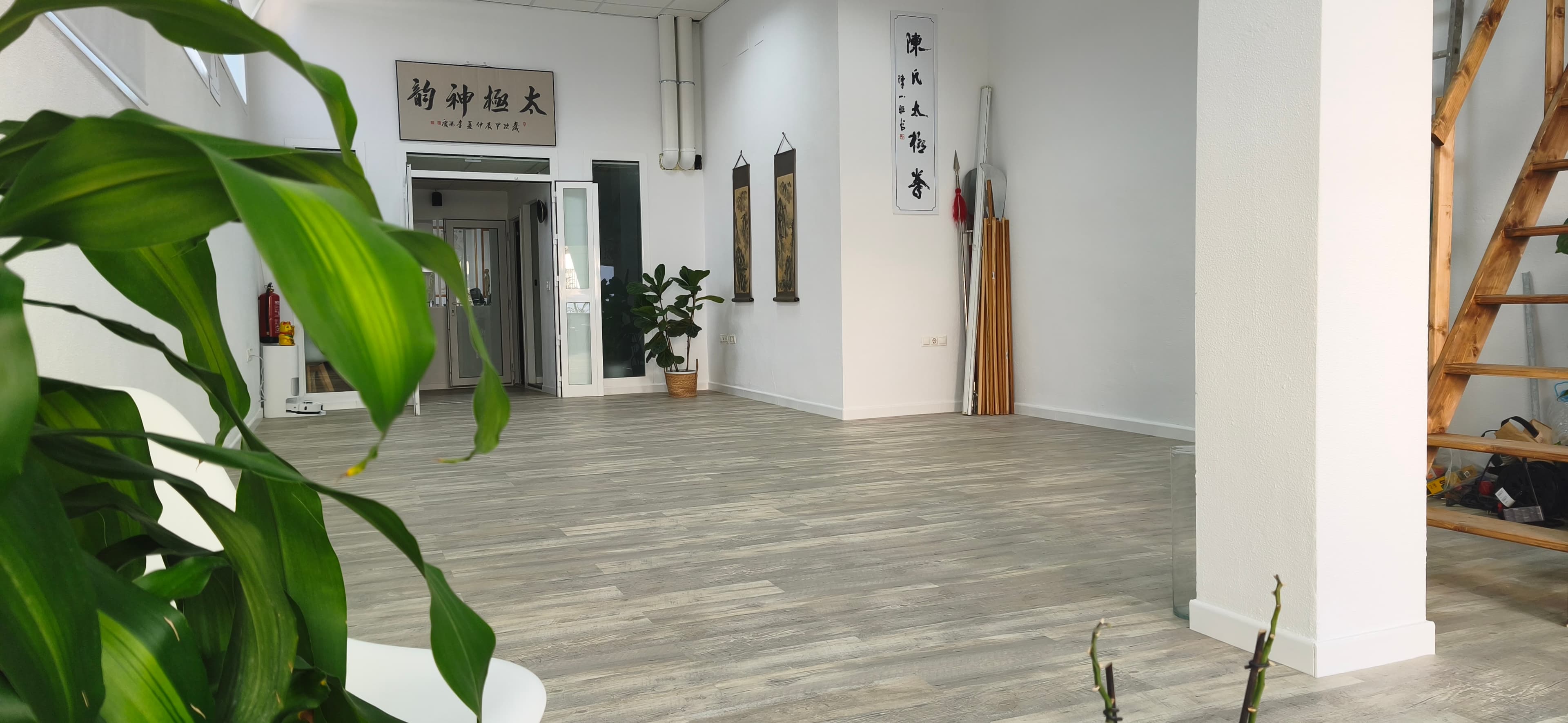 Espacio principal de Centro Taiji con ambiente sereno y luz natural